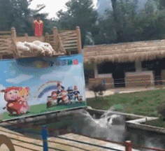 |钓鱼神器，这是起什么作用的？哈哈哈