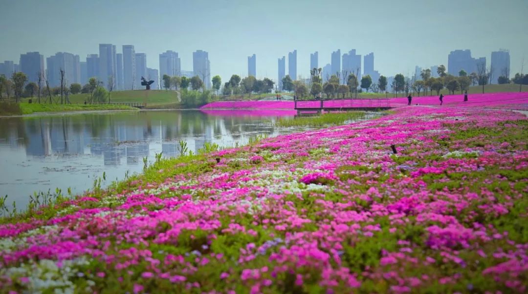80000m!大王山再添滨水古镇商业街!长株潭商圈横空出世!