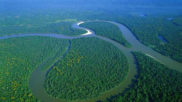 【鳄鱼】巨蟒的天敌是什么？