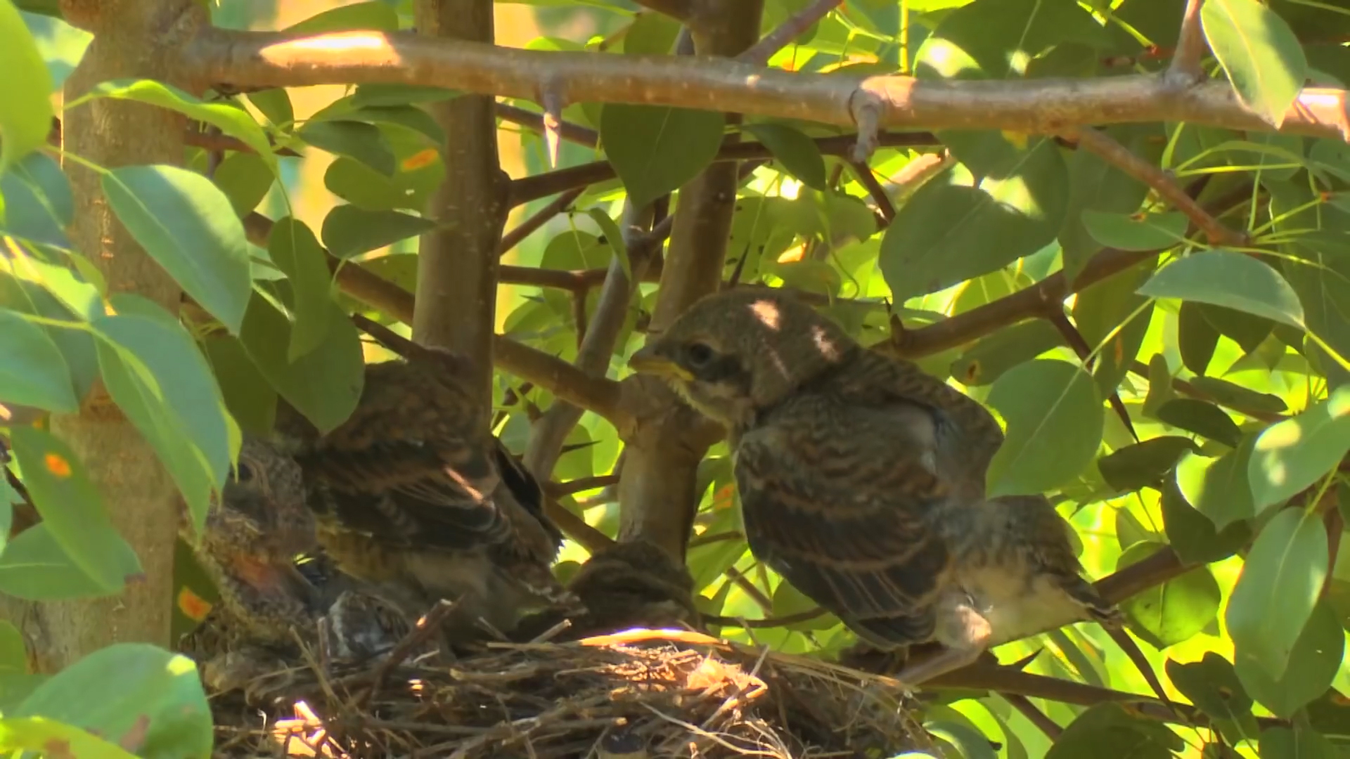 『』农历这几月份出生的人,前期落魄,到了中年,财运难挡,横财大发