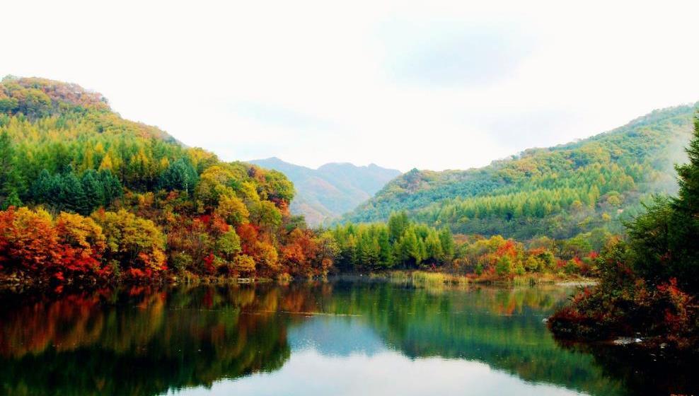 洪崖洞|辽宁“原始森林”公园走红，号称“东北桂林”，距沈阳仅110公里