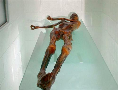 木乃伊|冰山发现5千年前木乃伊，接触它的8人都离奇死亡，难道真有诅咒？