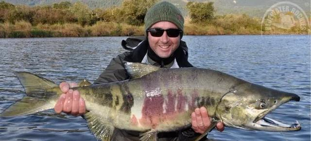 【三文鱼】三文鱼是什么鱼？可以生吃吗？