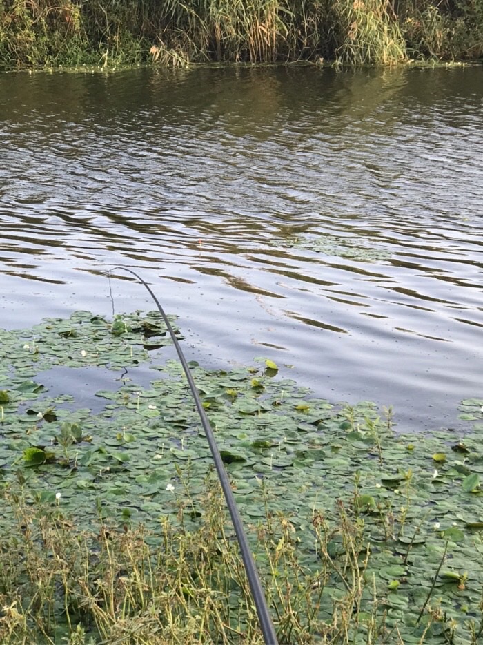 社会养老|今天鱼儿还是没口