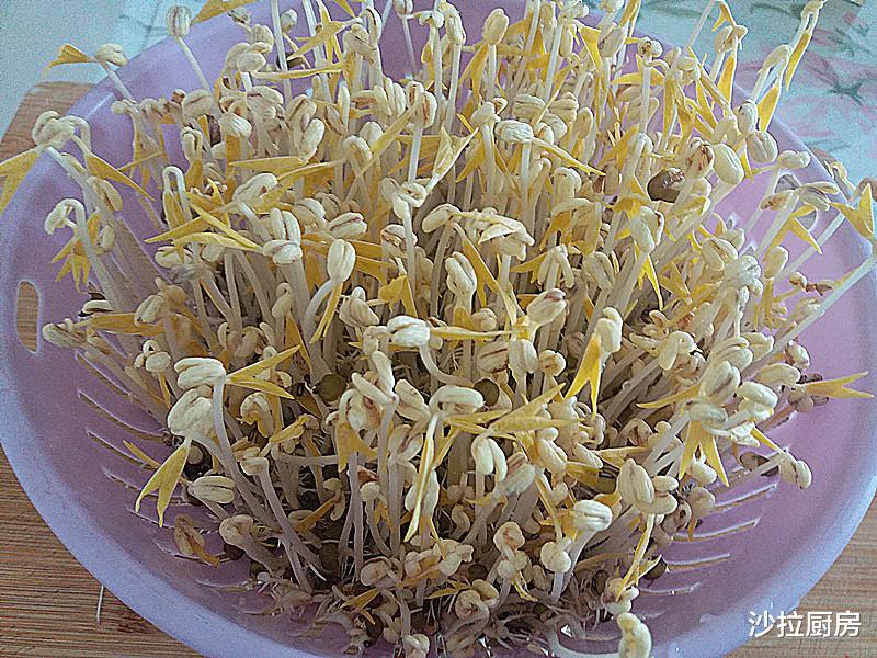 「按摩」韭菜靠边站，它才是“洗肠草”隔天排出宿臭便，早吃早受益