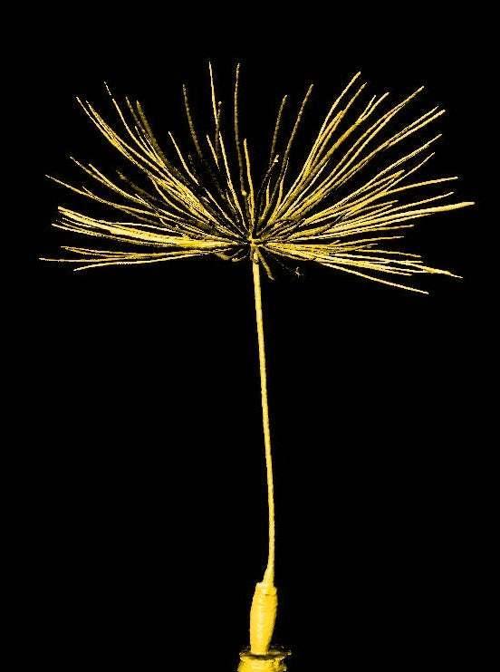 [科学家]科学家：我们找到了新的飞行方式，未来制造飞碟或将成为现实！