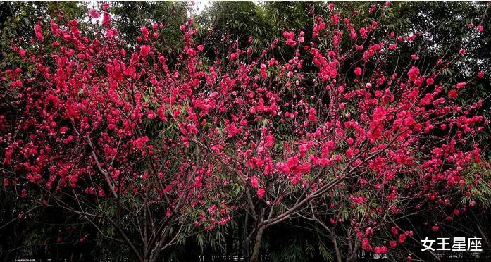 『生肖』恭喜！7月3号鸿运当头，财气旺盛，穷日子过成好日子的生肖
