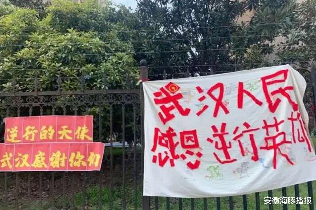 安徽海豚播报|司机怒斥武汉货主，司机再发声：帮卡友要钱，要回来了，并不完美