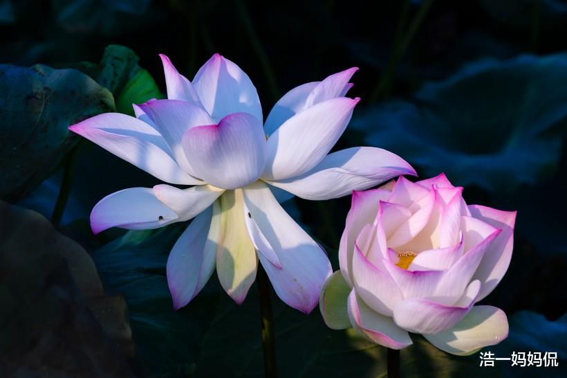 [吉星]6月18号财势喜人，吉星照射，熬过大难的3生肖，贵人八方来，惹不起