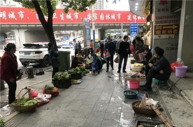【香椿】中国美食“最原始”城市，外地人去菜市场几乎崩溃：一个都不认识