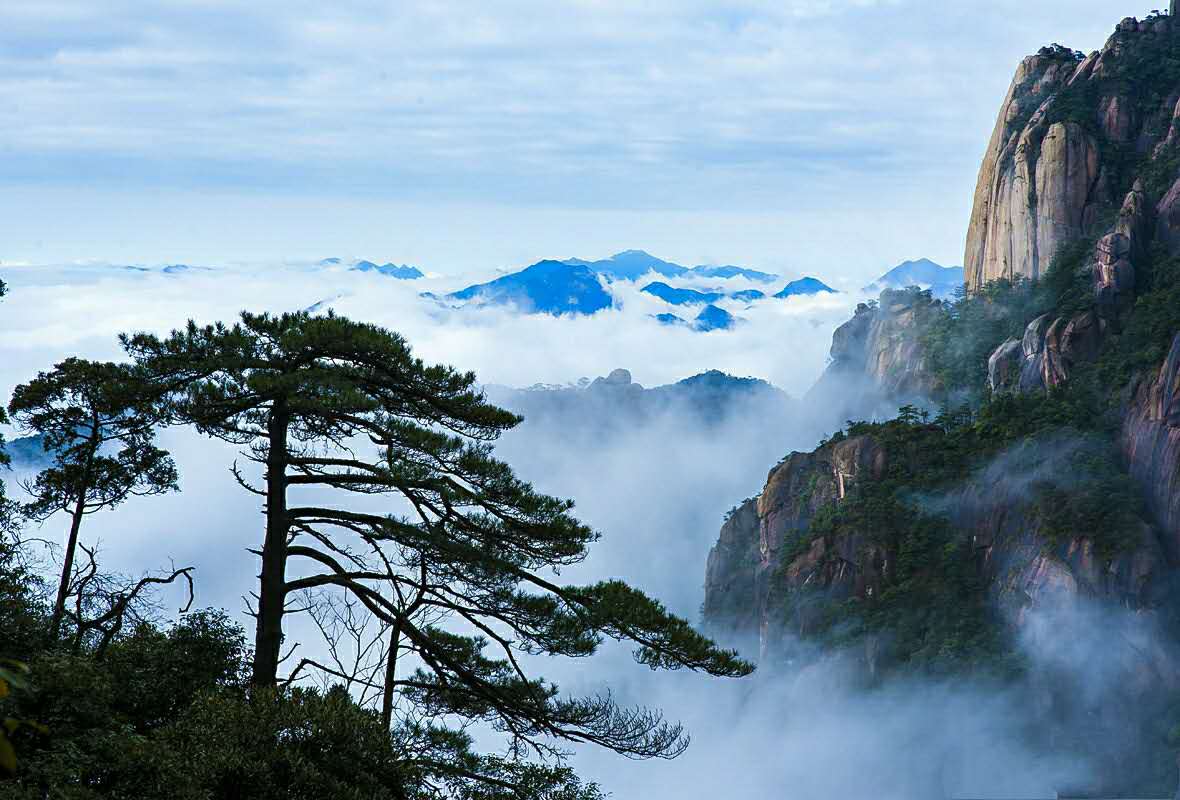 黄山风景区|黄山风景区雨后放晴，迎来云海奇观，圈粉2万游客