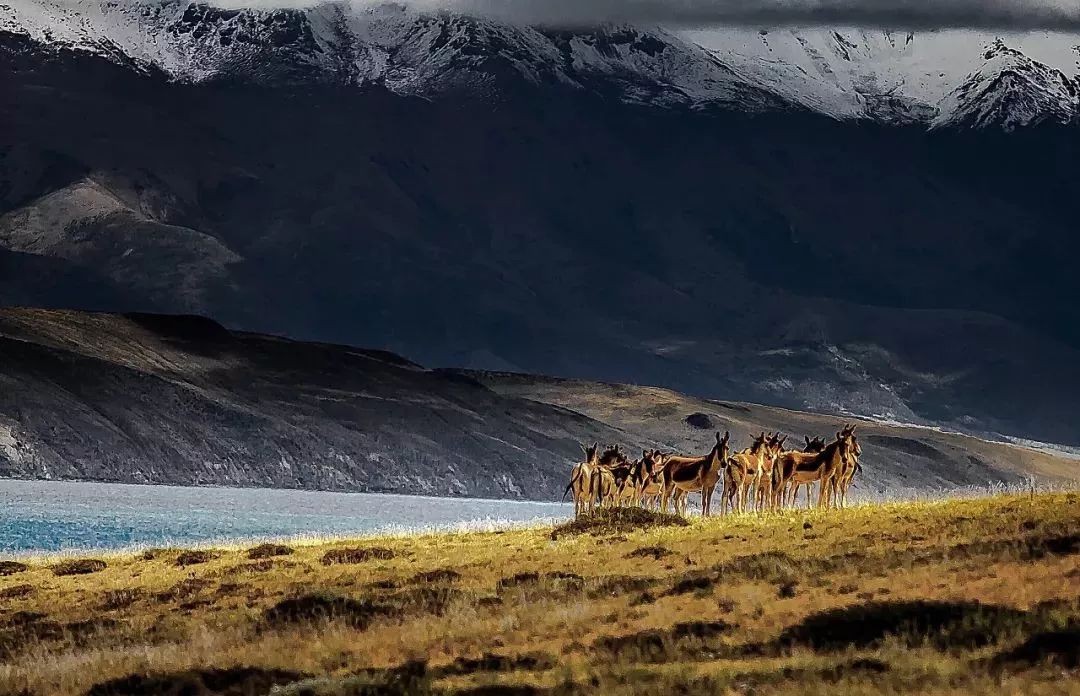 「新疆维吾尔自治区」从新疆出发,中国最长最美公路横空出世,一路顶级风光!