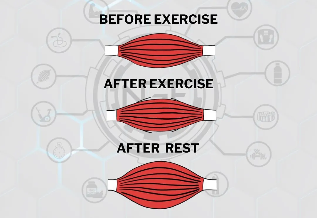 健身|一组最基础健身常识，不知道别说会健身