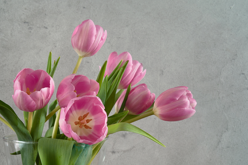 『生肖』5月中旬鸿运正当头，三属相被好运缠身，准备有“大事件”发生