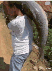 |“男孩子真的会喜欢这种微胖的身材吗？”哈哈哈何止是喜欢，简直是梦寐以求