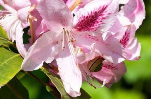 「生肖」脾气不好但是很宠妻的3种生肖男,家庭责任感强,女人可以放心嫁