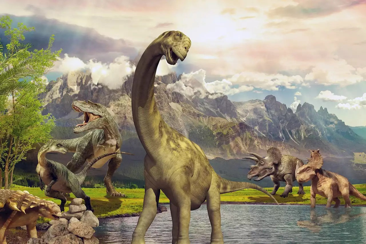 「暴雨」2.3亿年前，下了持续200万年的暴雨，形成原因或再次出现