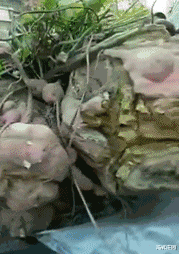 美甲|给网恋对象发了张美甲照，为什么他把我删了？