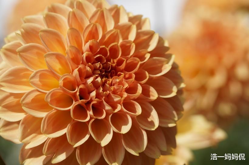 [生肖]财运愁人，6月下旬处处顺遂，财运旺旺的3生肖，数钱不断