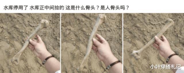 水库|“从水库正中捡到这个，这是什么骨头？”看起来真的太吓人了