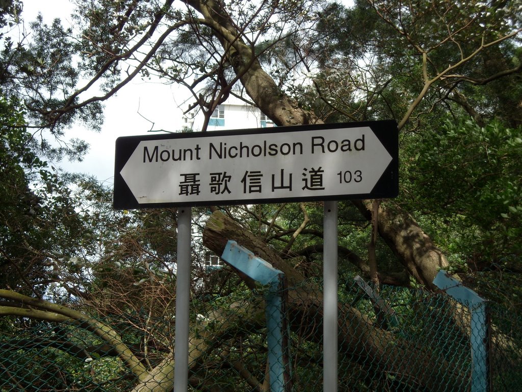 亚洲第一豪宅街区：1亿资产在这都买不起房，一套豪宅平均5.6亿元