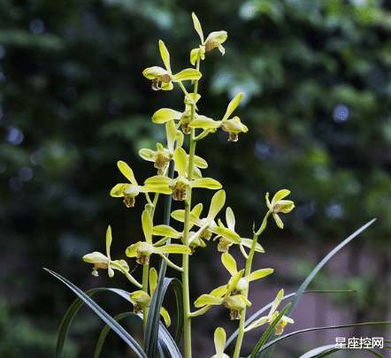 |哪些日子出生的人,热情十足,不怕磨难,迎着困难上,好运在后头