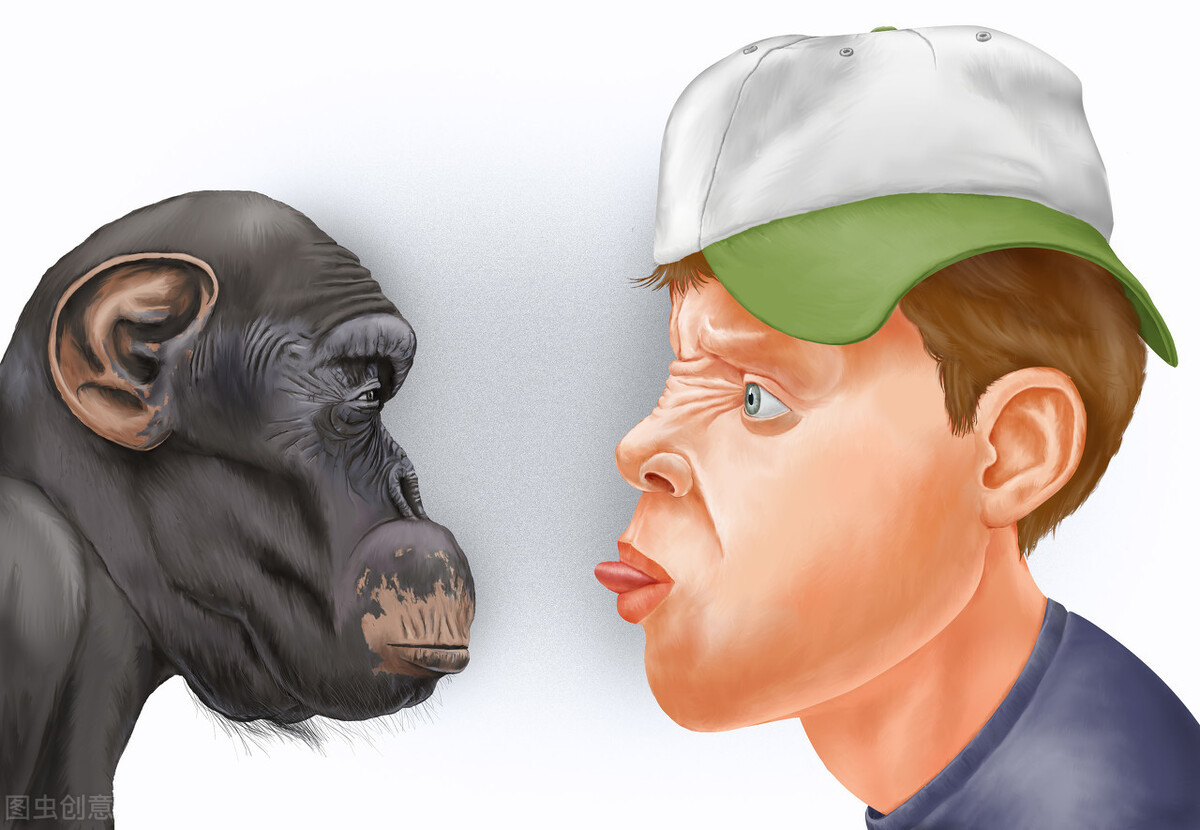 哺乳动物|人类为什么没有一副好皮毛?不能全怪择偶观,和进化也有关