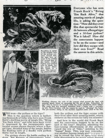 化石|能称得上是巨蟒的蛇有哪些?巨蟒的天敌是什么?