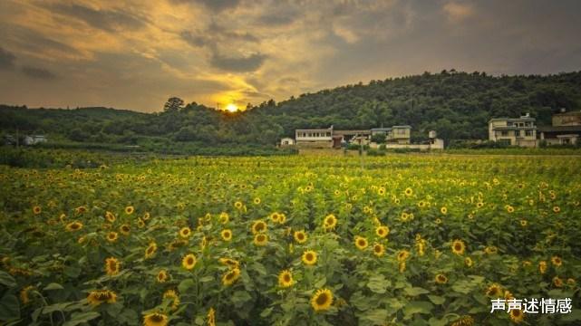 「生肖」7月上旬，缘分与桃花费尽心力，终将邂逅良缘的四大生肖！
