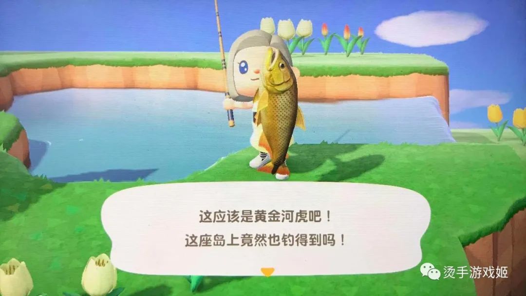 ▲动森游玩一个月总结！肝到怀疑人生！