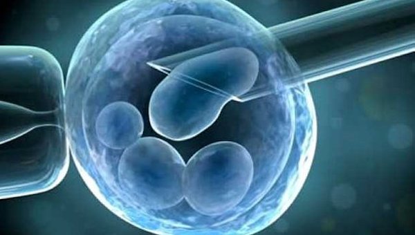 行星|2016年排名前10的科学事件