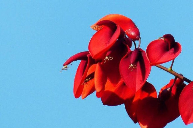 李晨|7月下旬好运有增无减，春风得意财来顺手，人生逆袭翻身的3生肖