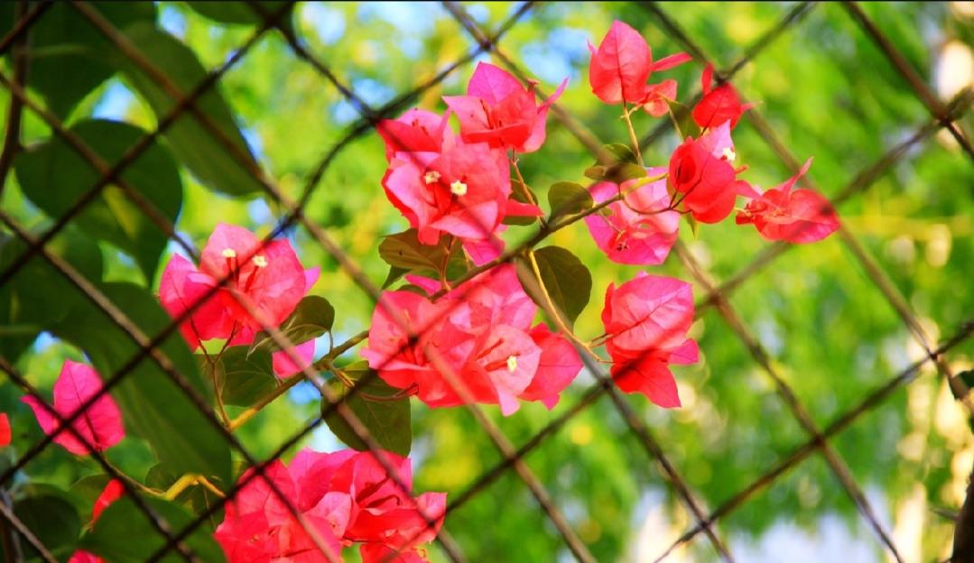 『海南』中国最无奈的省份，明明“四季如春”却被误解，游客：这不怪我们