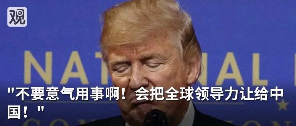 黄磊■日研究所：日本现在的新冠病毒更可能来自欧洲