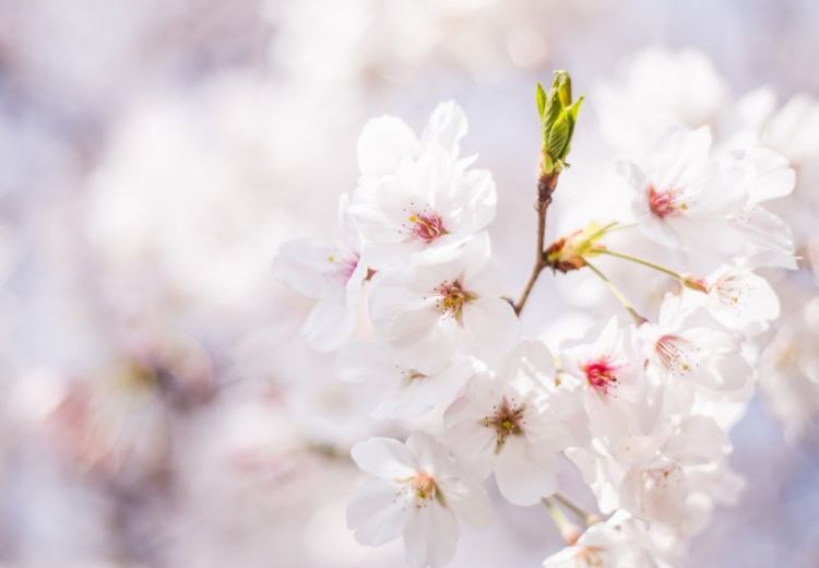 旧爱|十月中旬开始，运势一飞冲天，行大运赚大钱，财运上上签的生肖