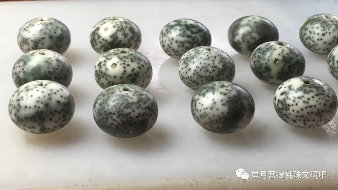 星月菩提|星月菩提顺白开始没有意义了吗？