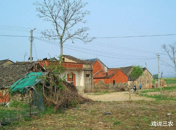 戏说三农|2020年土地政策有新规,8省启动试点!未来2大趋势,农民期待!