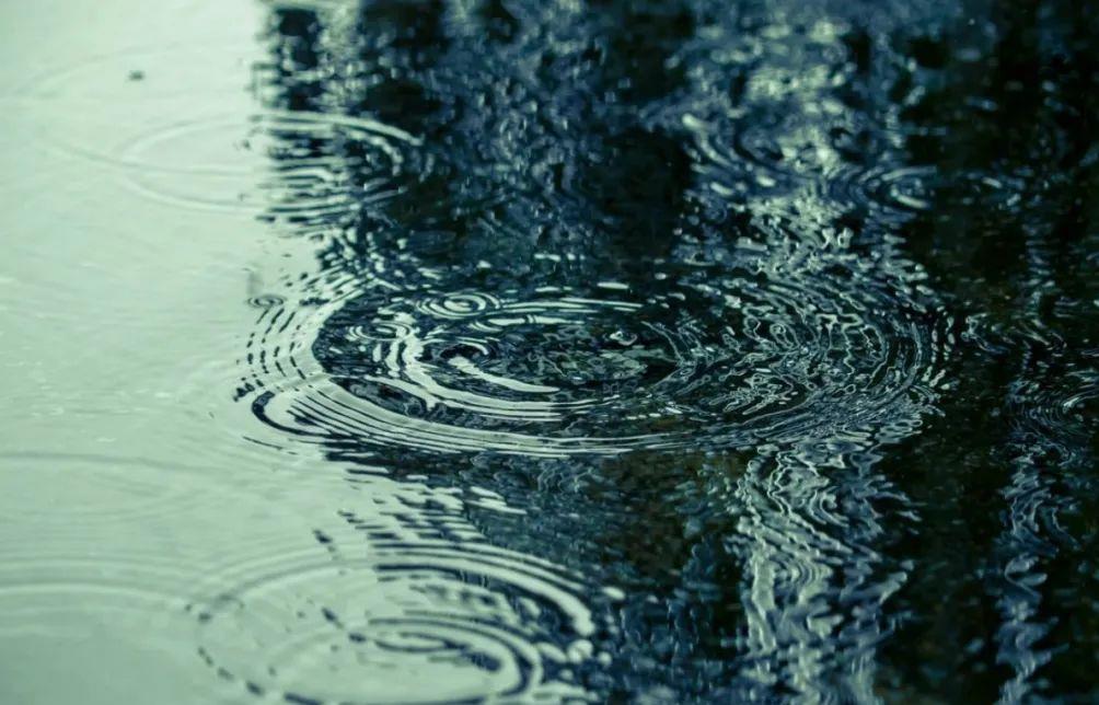 [祛湿]五月祛湿汤，助你排出湿气！