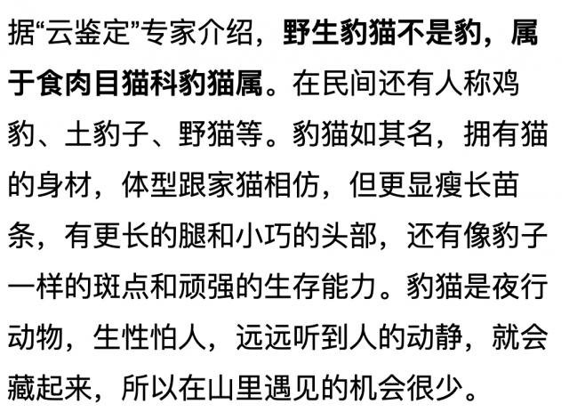 老虎@村民捡到两只“小老虎” ！真实身份竟然是…