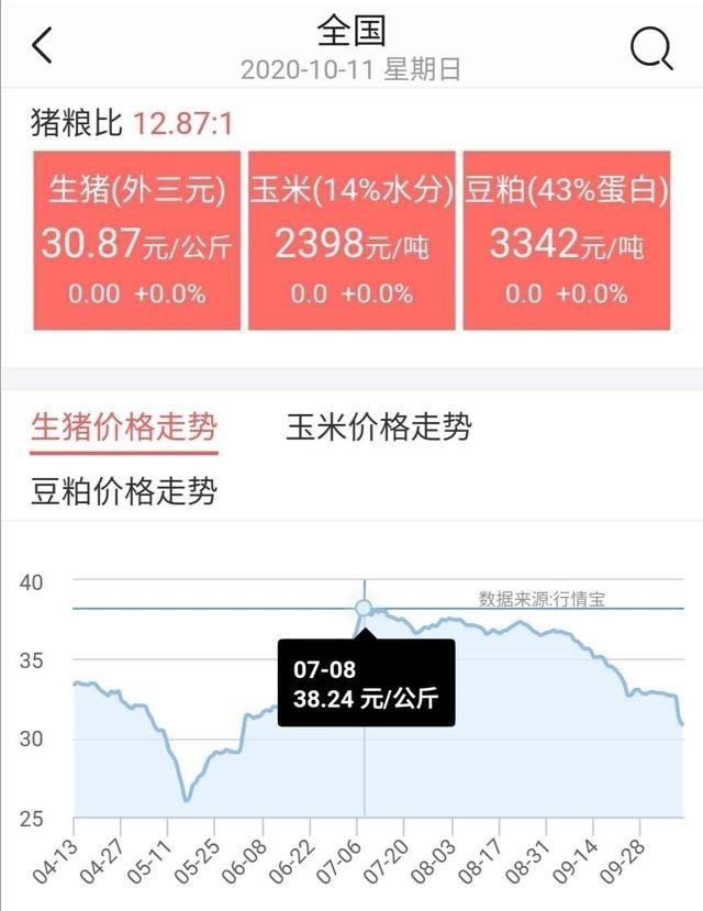 生猪价格|猪价断崖式下跌,后市涨跌如何?专家权威预测!附:10月11日猪价