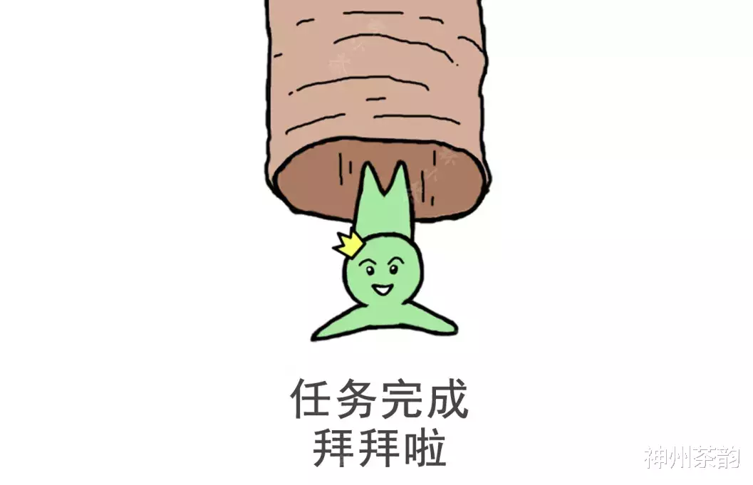 「茶多酚」茶叶在人体里到底在干嘛，有人给你画出来了