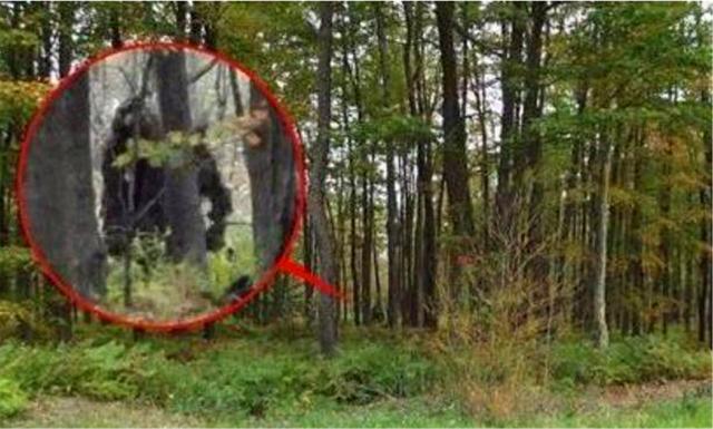 『神农架』神农架出现“驴头狼”，早已灭绝50万年的物种，怎么又突然出现？