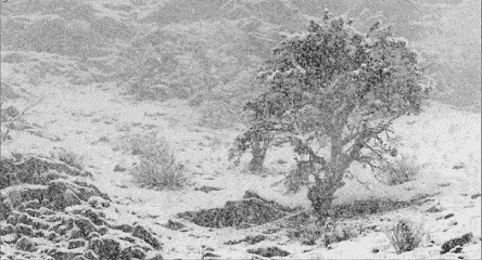河南|?紧急！大暴雨大暴雪！大风＋降温！河南连发16条预警...