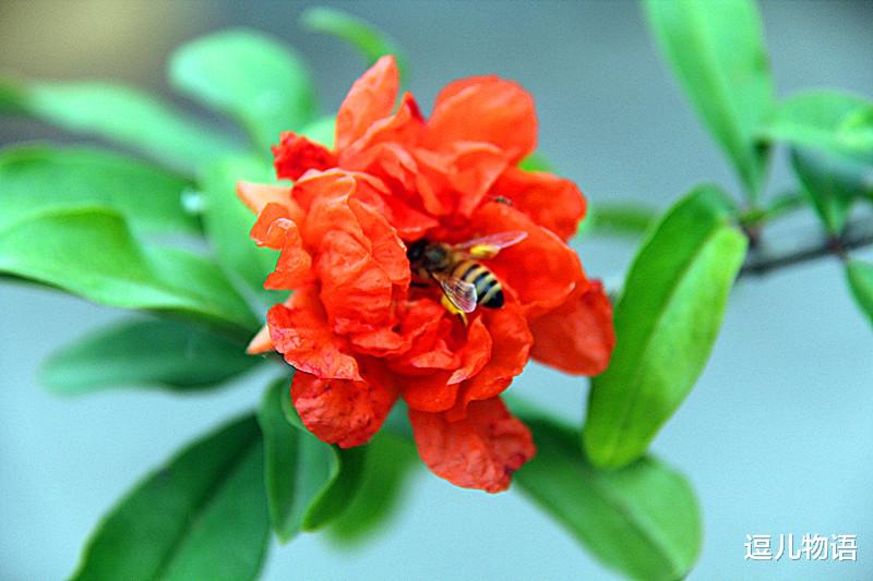 『』生肖狗: 大难之后必有后福, 五月底躲过坎后有“大喜”等着