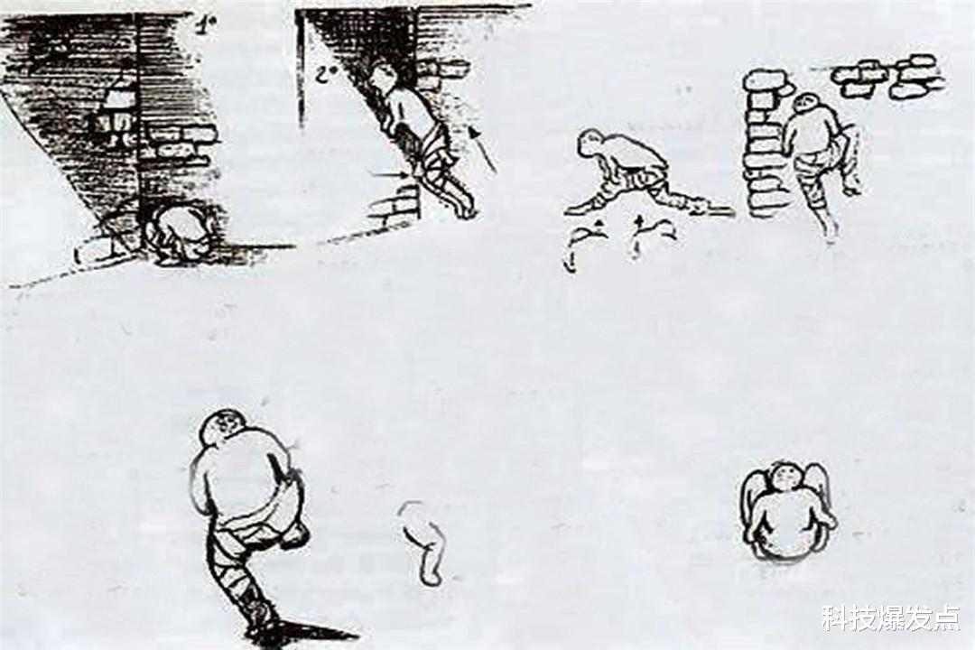 相机|胚胎包裹的不明人形生物，男子拍下清晰照片，身份依旧难以确认！