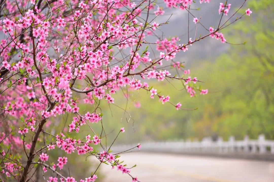 ▲周末，彩石溪走起！