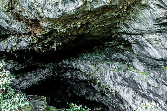 连州地下河|粤北首家5A级景区,在此能看到大自然神奇的“超能力”,你想去吗