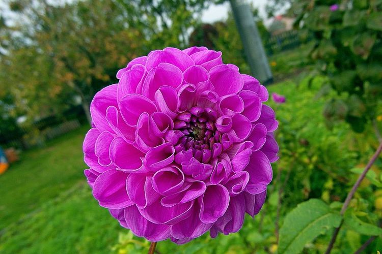 巨蟹座|8月下旬“桃花”朵朵，能觅得真爱，携手意中人的4大星座