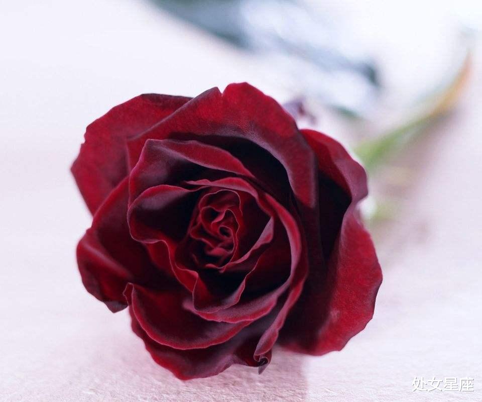 #运势#7月8号运势上上签的属相，有贵人助力，生活策马奔腾