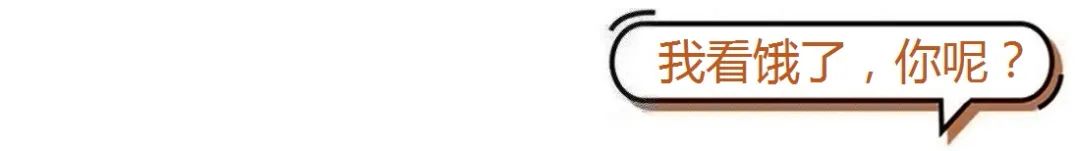 「身份证」市委书记、市长带头“下馆子”!网友被这波“站台”馋哭了!